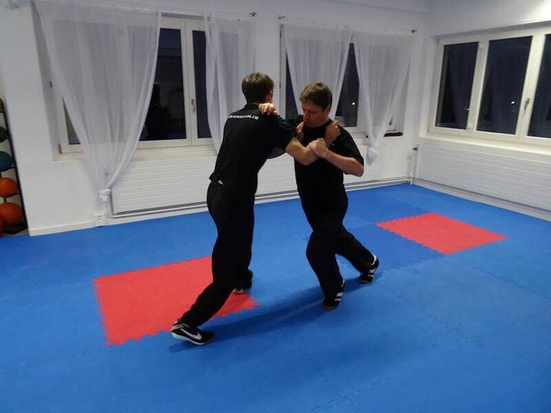 Die häufigsten Angriffe in der Schweiz